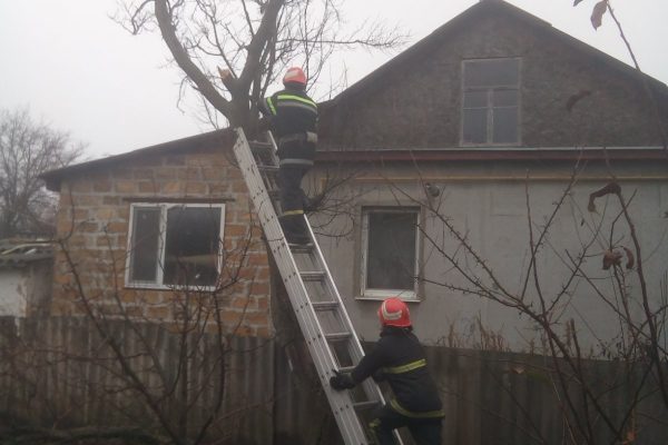 У смт Новгородка рятувальники спиляли аварійне дерево У смт Новгородка рятувальники спиляли аварійне дерево